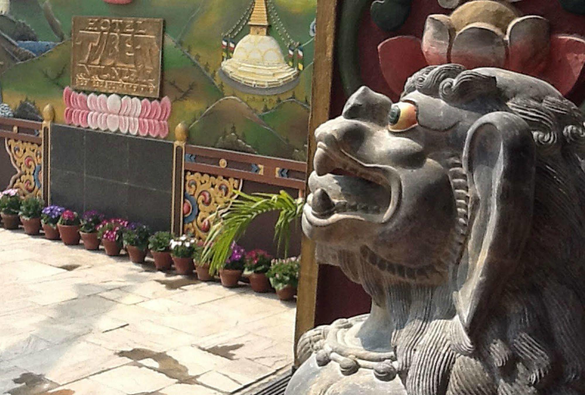 Hotel Tibet International Kathmandu Ngoại thất bức ảnh